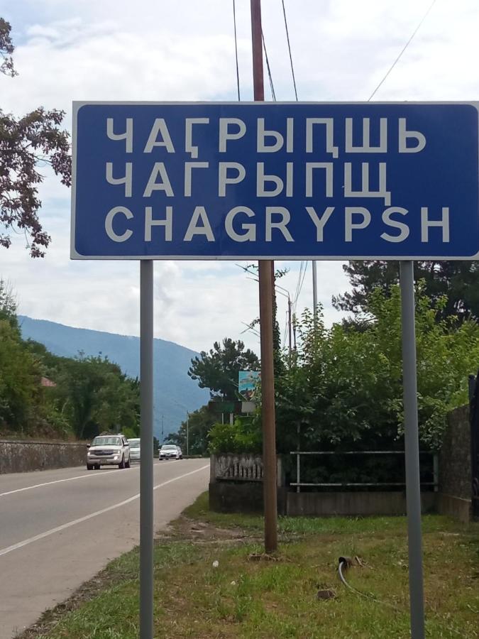 Гостевой Дом Мимоза גגרה מראה חיצוני תמונה